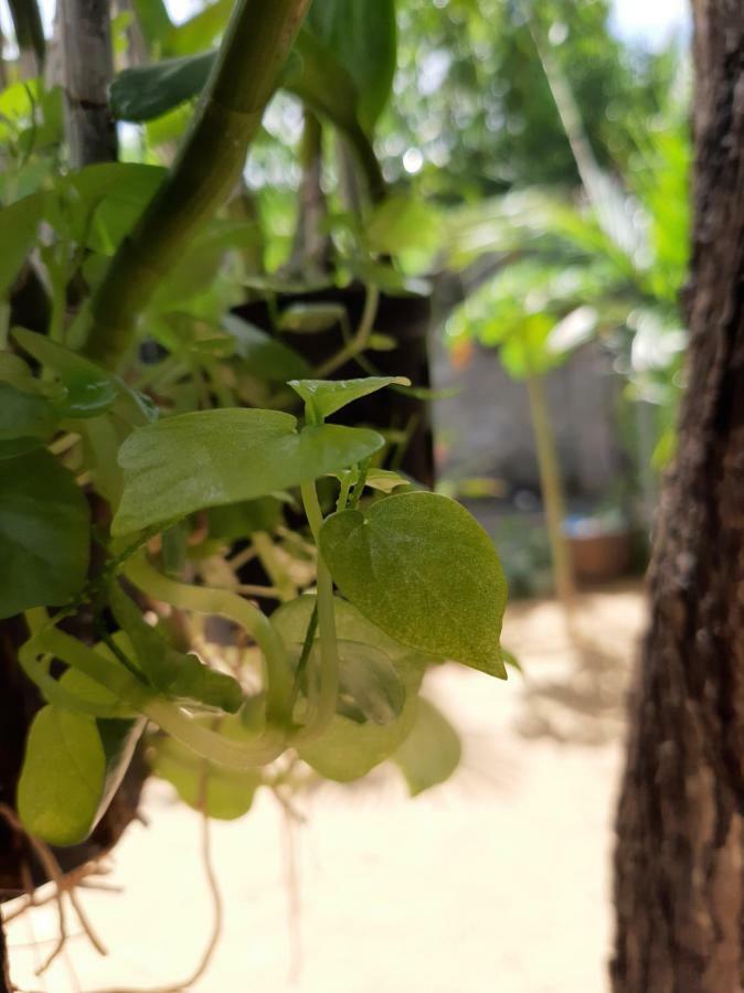 Connect Apartment Phan Thiet Exterior photo