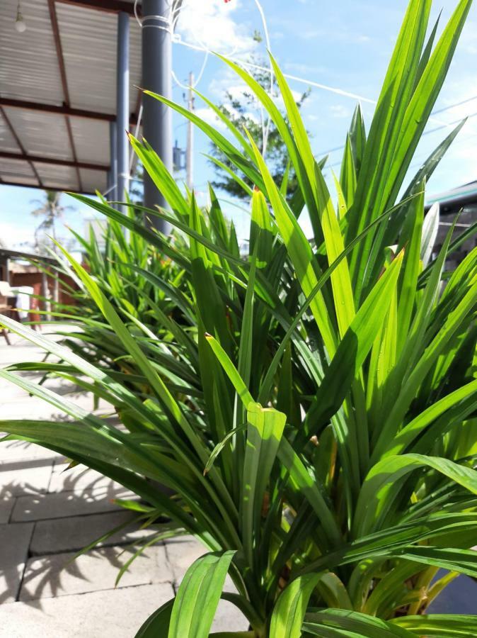 Connect Apartment Phan Thiet Exterior photo